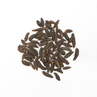 香附子イメージ