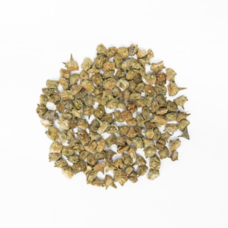 蒺莉子イメージ