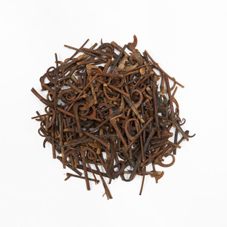 釣藤鈎イメージ