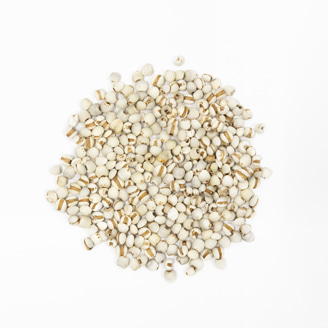 薏苡仁イメージ