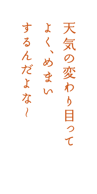 天気の変わり目ってよく、めまいするんだよなー