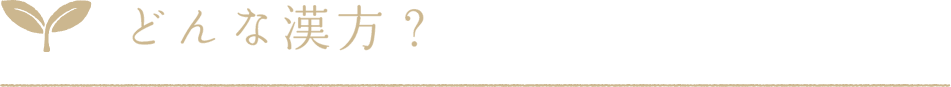 どんな漢方？