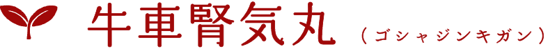 牛車腎気丸（ゴシャジンキガン）