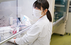 クラシエ製薬　漢方研究所の新口研究員