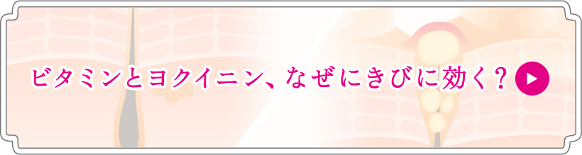 ビタミンとヨクイニン、なぜにきびに効く？