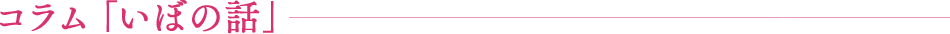 コラム「いぼの話」