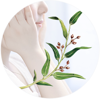 ヨクイニンとは？