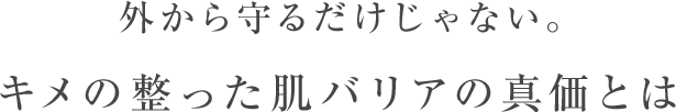 外から守るだけじゃない。キメの整った肌バリアの真価とは