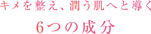 キメを整え、潤う肌へと導く6つの成分