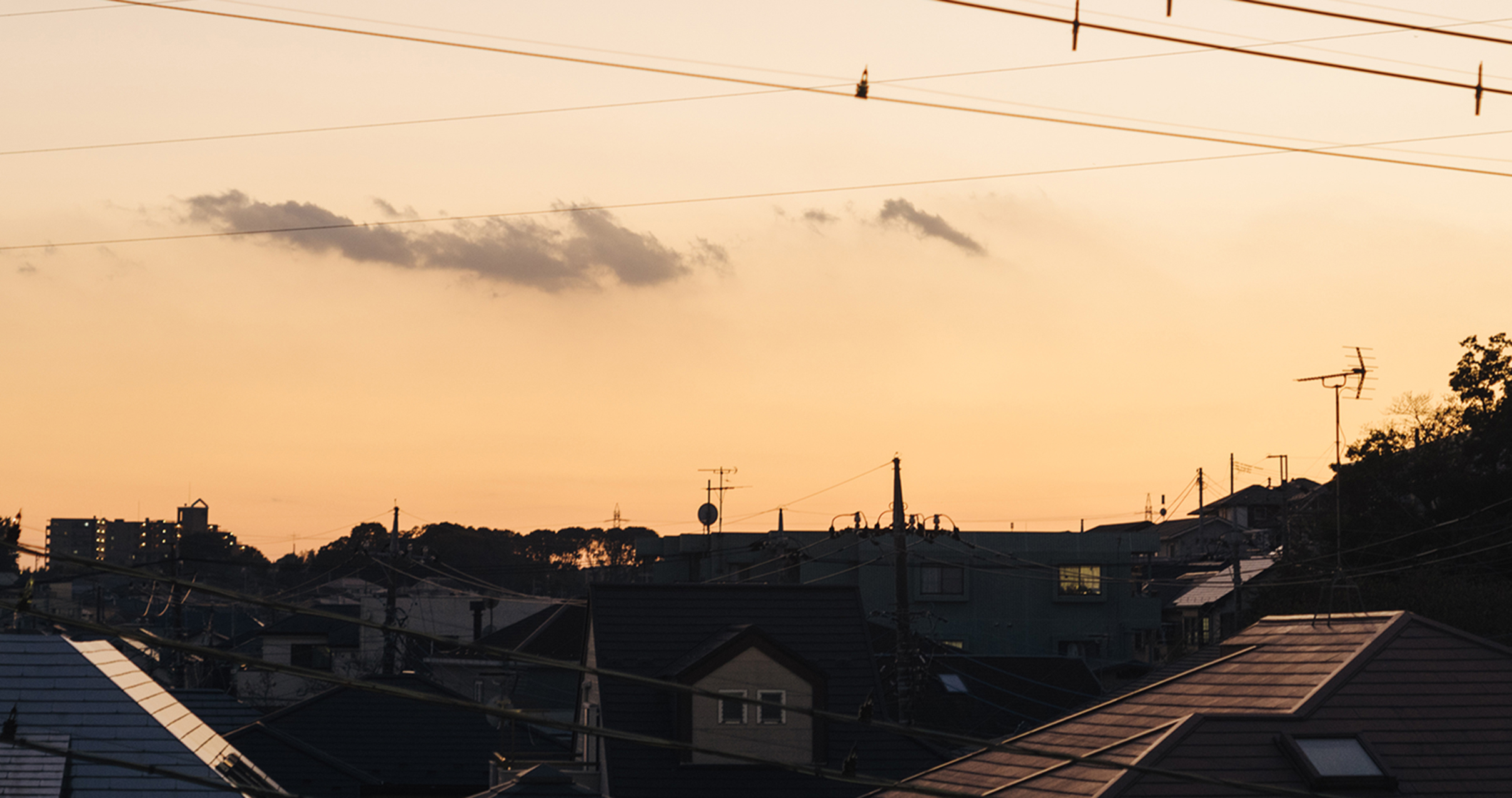 ミスターショップ ケント | クラシエプロフェッショナル