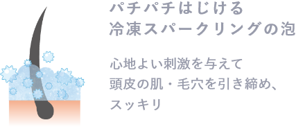 パチパチはじける冷凍泡 心地よい刺激を与えて頭皮の肌・毛穴を引き締め、スッキリ