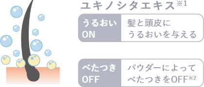 ユキノシタエキス※1 髪と頭皮にうるおいを与える パウダーによってべたつきをOFF※2