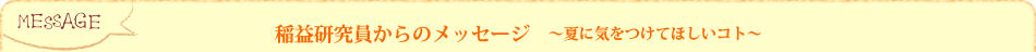 稲益研究員からのメッセージ〜夏に気をつけてほしいコト〜