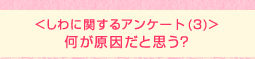 <しわに関するアンケート (3)>何が原因だと思う?