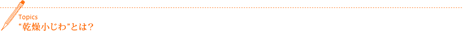 Topics “乾燥小じわ”とは?