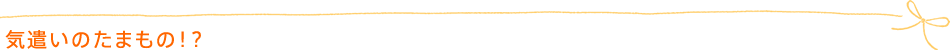 気遣いのたまもの!?
