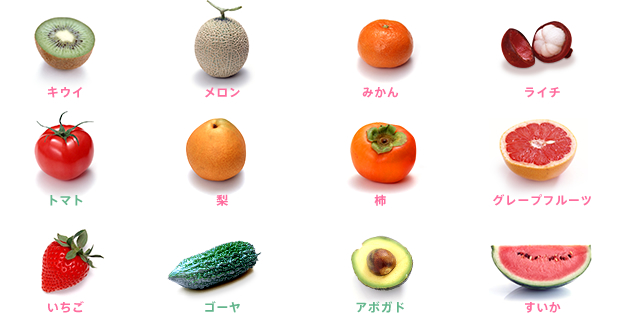 キウイ メロン みかん ライチ トマト 梨 柿 グレープフルーツ いちご ゴーヤ アボガド すいか