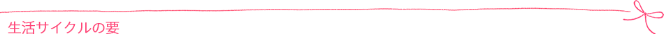 生活サイクルの要