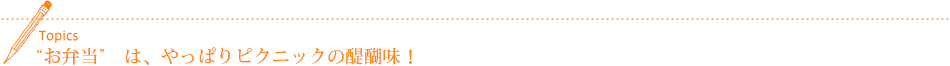 “お弁当” は、やっぱりピクニックの醍醐味!
