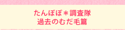 たんぽぽ*調査隊 過去のむだ毛篇