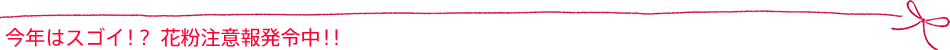 今年はスゴイ!?花粉注意報発令中!!