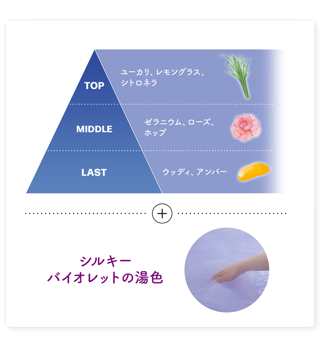 リラックスハーバルナイトの香り (TOP ユーカリ、レモングラス、シトロネラ) (MIDDLE ゼラニウム、ローズ、ホップ) (LAST ウッディ、アンバー) シルキー バイオレットの湯色