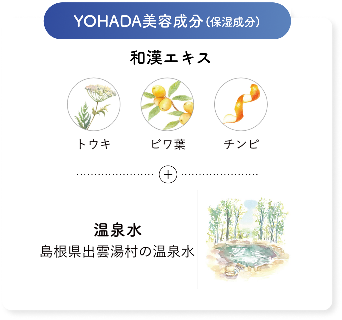 YOHADA美容成分 （保湿成分）和漢エキス（トウキ、ビワ葉、チンピ）温泉水 島根県出雲湯村の温泉水